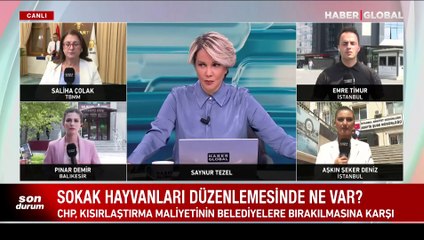 İstanbul'da vahşet! Temizlik için çağırdı, paramparça etti! Uzuvları kuyudan çıktı