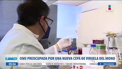 Una nueva cepa de viruela del mono preocupa a la OMS