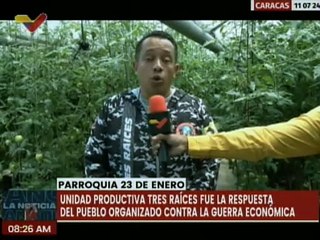 Unidad Productiva Tres Raíces: una muestra de la resistencia del pueblo ante la guerra económica