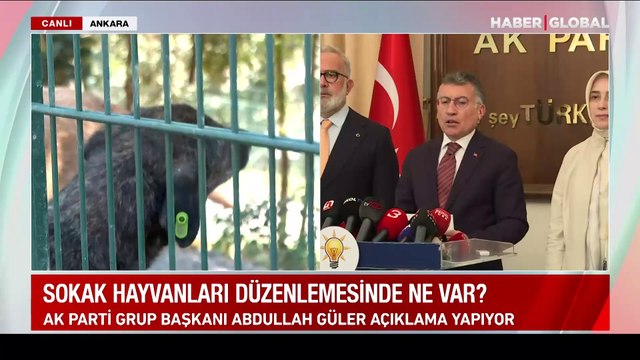 Sokak hayvanları düzenlemesi Meclis'te! Kuduz riski taşıyan köpeklere ötenazi uygulanacak