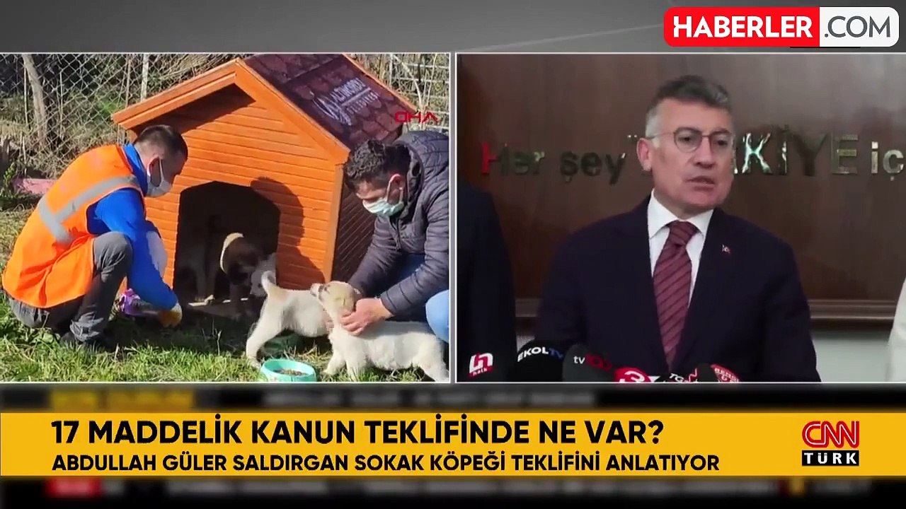 17 maddelik teklif TBMM Başkanlığı'na sunuldu! Sahipsiz saldırgan köpekler uyutulacak