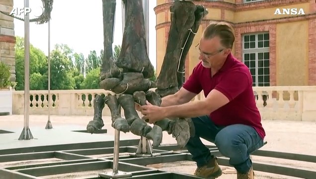 Francia, all'asta lo scheletro del piu' grande dinosauro mai venduto