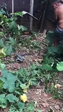 Funny moments || #shortsfails #shortvideo #failsvideo#FunnyVideos #Comedy #LaughOutLoud #LOL #Humor #Hilarious #ViralVideo #ComedySkits #FunnyClip #Jokes ||