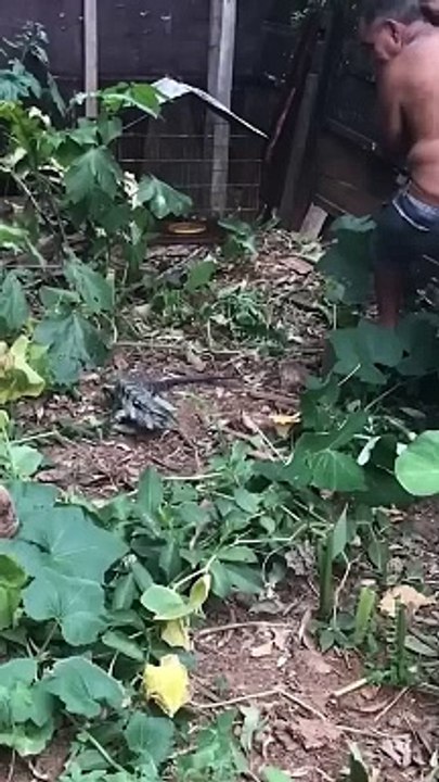 Funny moments || #shortsfails #shortvideo #failsvideo#FunnyVideos #Comedy #LaughOutLoud #LOL #Humor #Hilarious #ViralVideo #ComedySkits #FunnyClip #Jokes ||