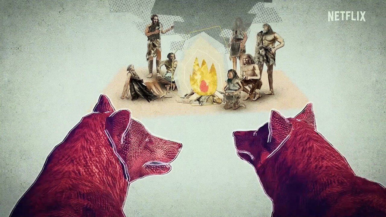 Inside The Mind Of A Dog Trailer OV