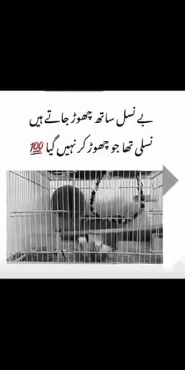 tiktok_1721022048082436274