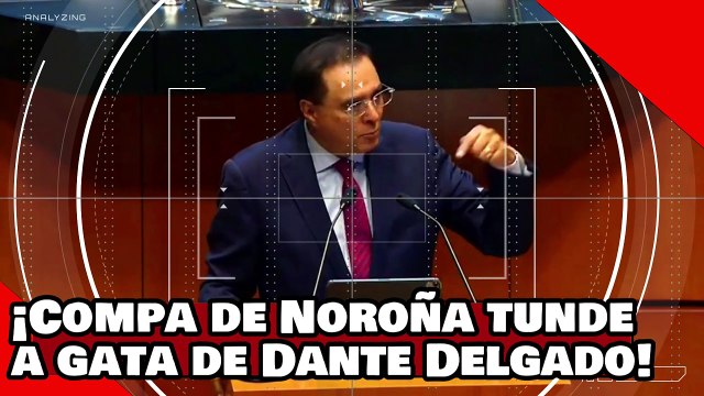 ¡VEAN! ¡compa de Noroña aplasta a gata de Dante Delgado por defender al poder perjudicial!