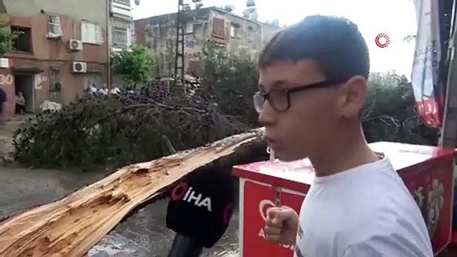 Olay saniye saniye kamerada! Devrilen ağacın altında kalmaktan kıl payı kurtuldu