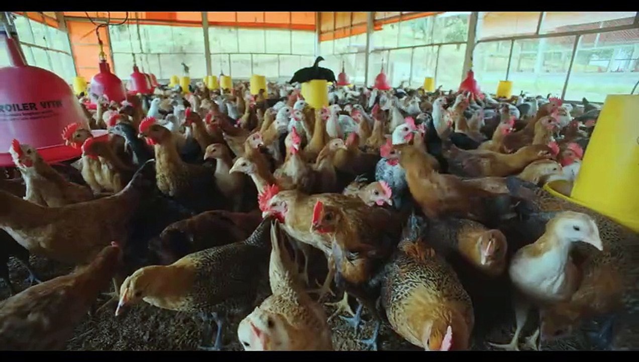 KELUARGA CEMARA 2