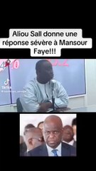 ALIOUNE SALL SUR MANSOUR FAYE