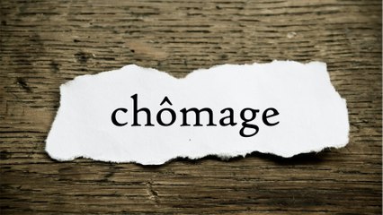 La réforme de l'assurance-chômage reportée en raison des élections législatives anticipées