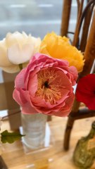 Haïlane et ses fleurs éternelles