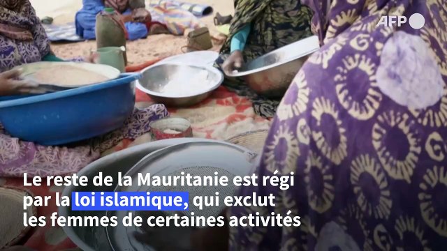 Mauritanie: entre dunes et montagne de Mauritanie, l'oasis de Maaden, utopie fraternelle