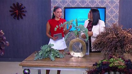 Transforma tu Hogar con Decoración de Eucalipto 🌿