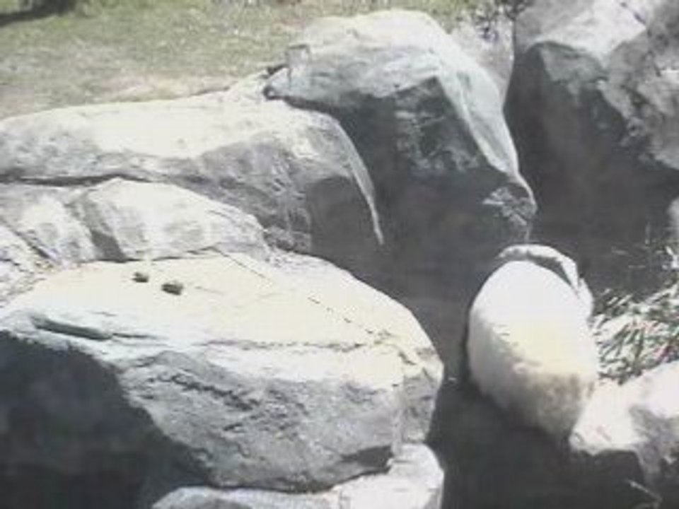 4/15/08~ML; Lonely at the Fountain~3.47min.
