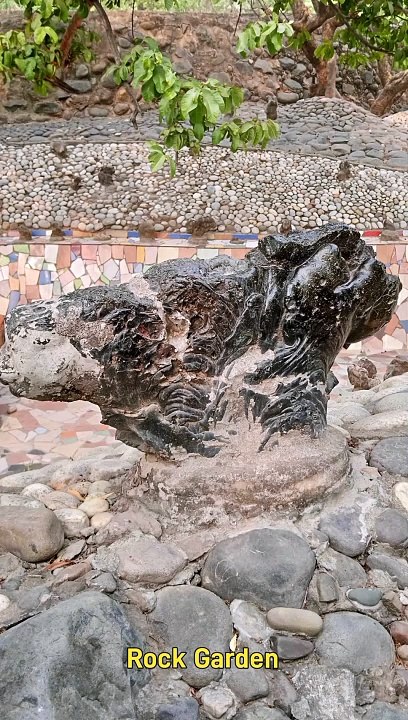 Rock Garden
