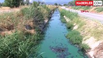 Manisa'da Sanayi Atıkları Sulama Kanalını Maviye Boyadı