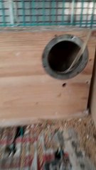 what's happening here?