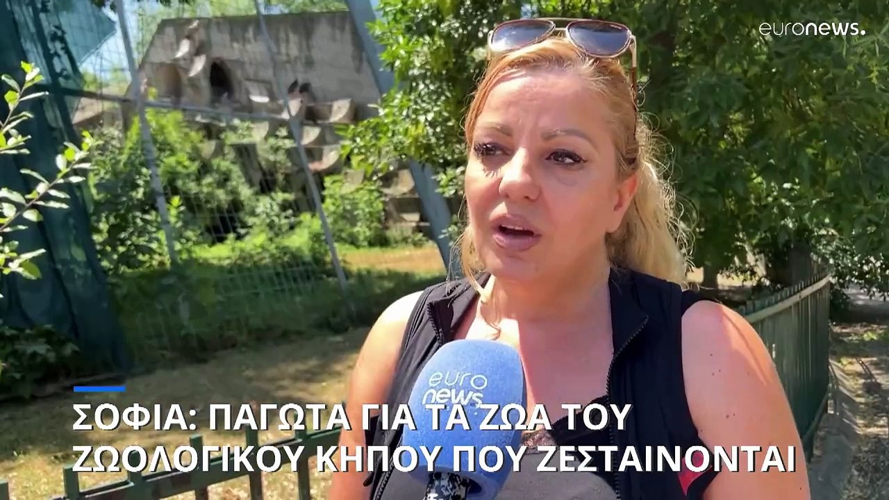 Σόφια: Παγωτά για τα ζώα του ζωολογικού κήπου π...