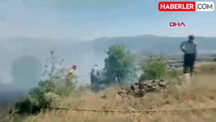 Bingöl'de Gürpınar köyünde çıkan yangın kontrol altına alındı