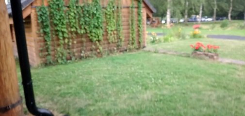 summer 2024 . Czech Republic. areal bomba .wedding of patrick and eliskas