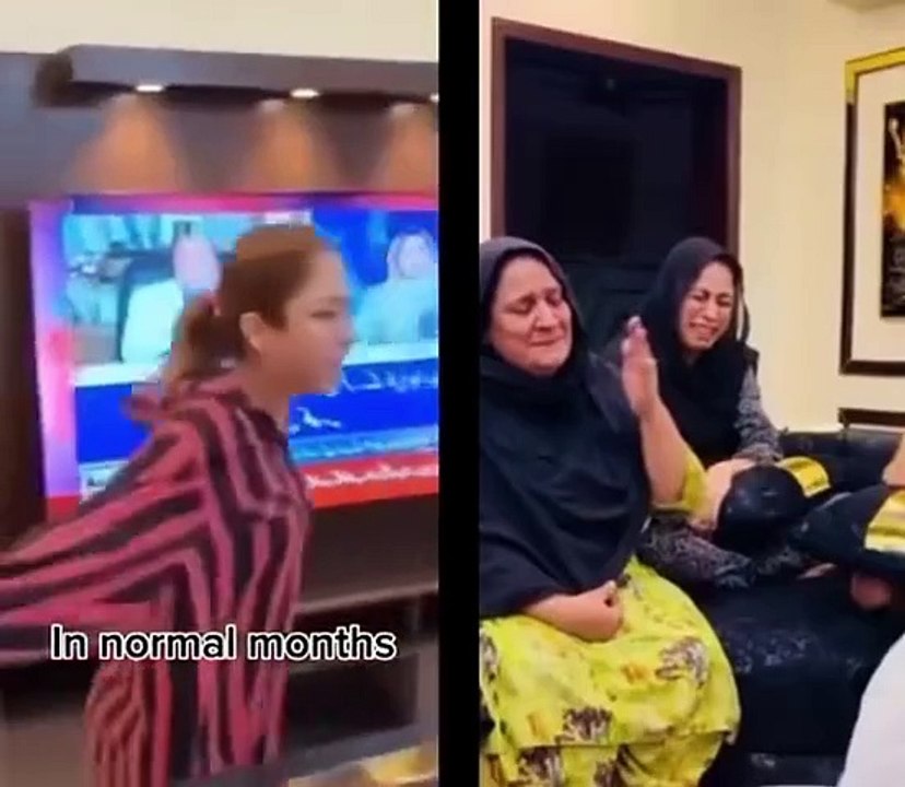 Funny videos 