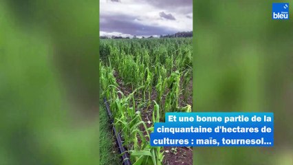 Une ferme familiale dévastée par l'orage de grêle en Dordogne
