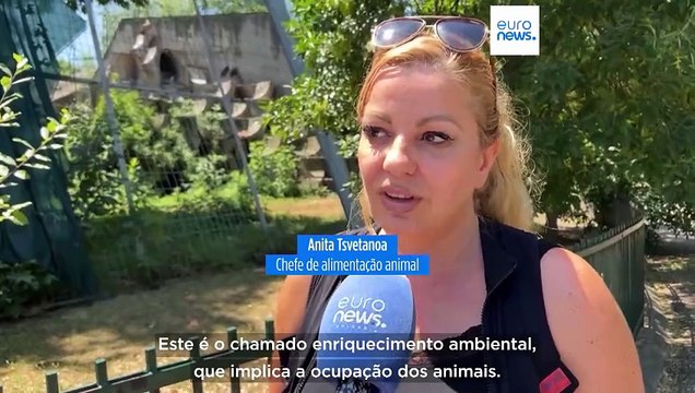 No Jardim Zoológico de Sófia, os animais têm direito a gelados caseiros nos dias de calor