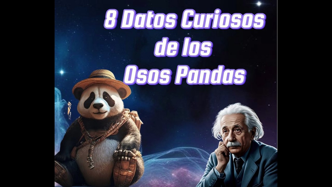 8 curiosidades que no sabias de los Pandas♥