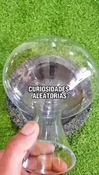 Curiosidades aleatorias #curiosidades #lasmejores #conocimiento #fy #paratii #aprendeentiktok #datos