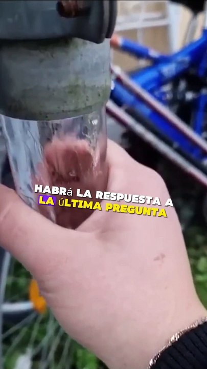 Curiosidades aleatorias que harán explotar tu mente! #curiosidades #datoscuriosos