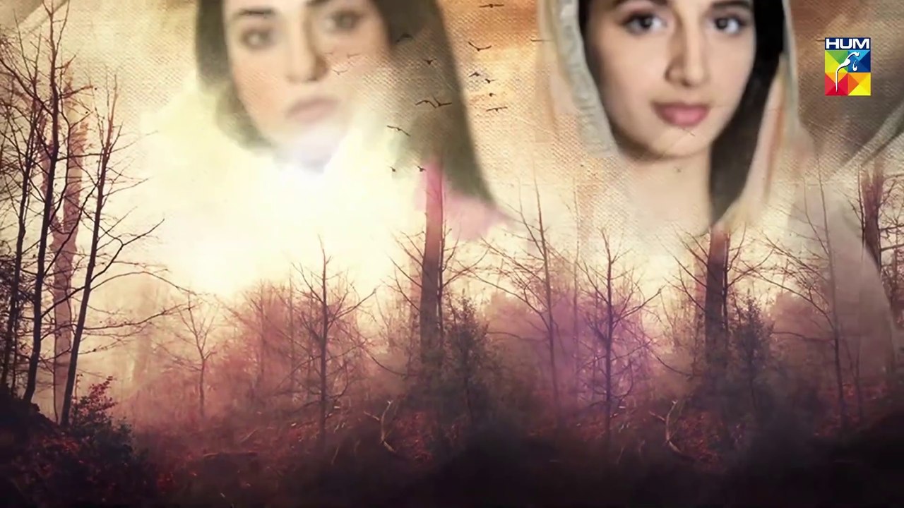 Sabaat Episode 1 - Digitally Presented by Master Paints | HUM TV Drama | 29 Mar 2020
