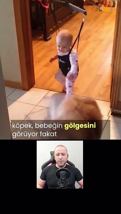 köpeklerle iletişime geçerken onları insan yerine koyuyoruz.