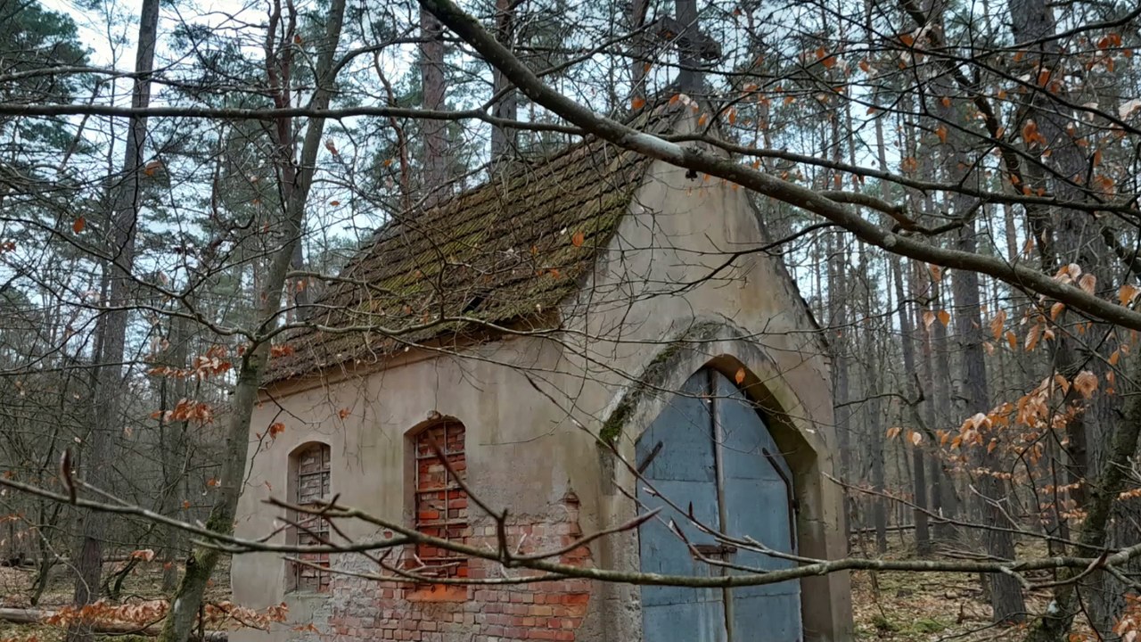 Kapliczka w środku lasu WARNOWO