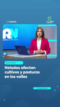 Heladas afectan cultivos y pasturas en los valles