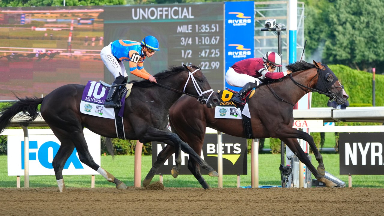 Exploring the Turf Horse Monopoly in Horse Racing | Analysis