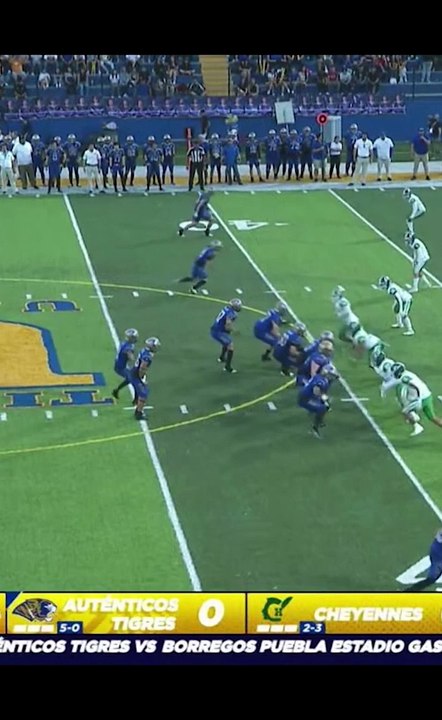 Pase largo y . . . Intercepcion ! ! !