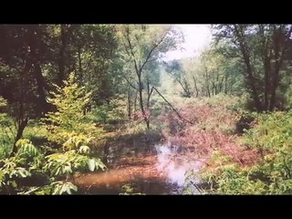 Not Your Typical Bigfoot Movie | movie | 2008 | Official Trailer