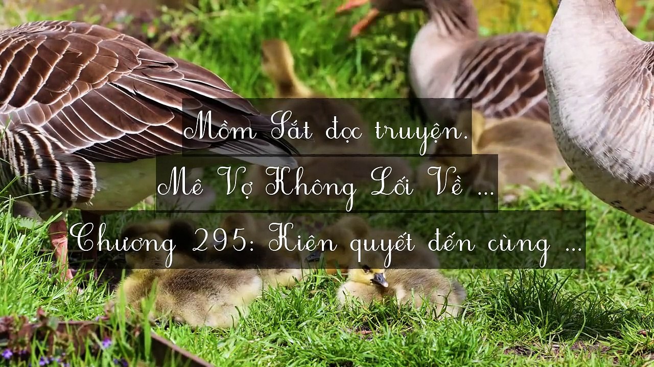 Chương 291-300: Mê Vợ Không Lối Về