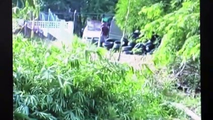 $3500 FINE FOR MOSQUITO BREEDING SITES