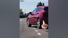 El Opel Astra del 2020 en la #esquiva77 ¿qué tal se le dio? #shorts