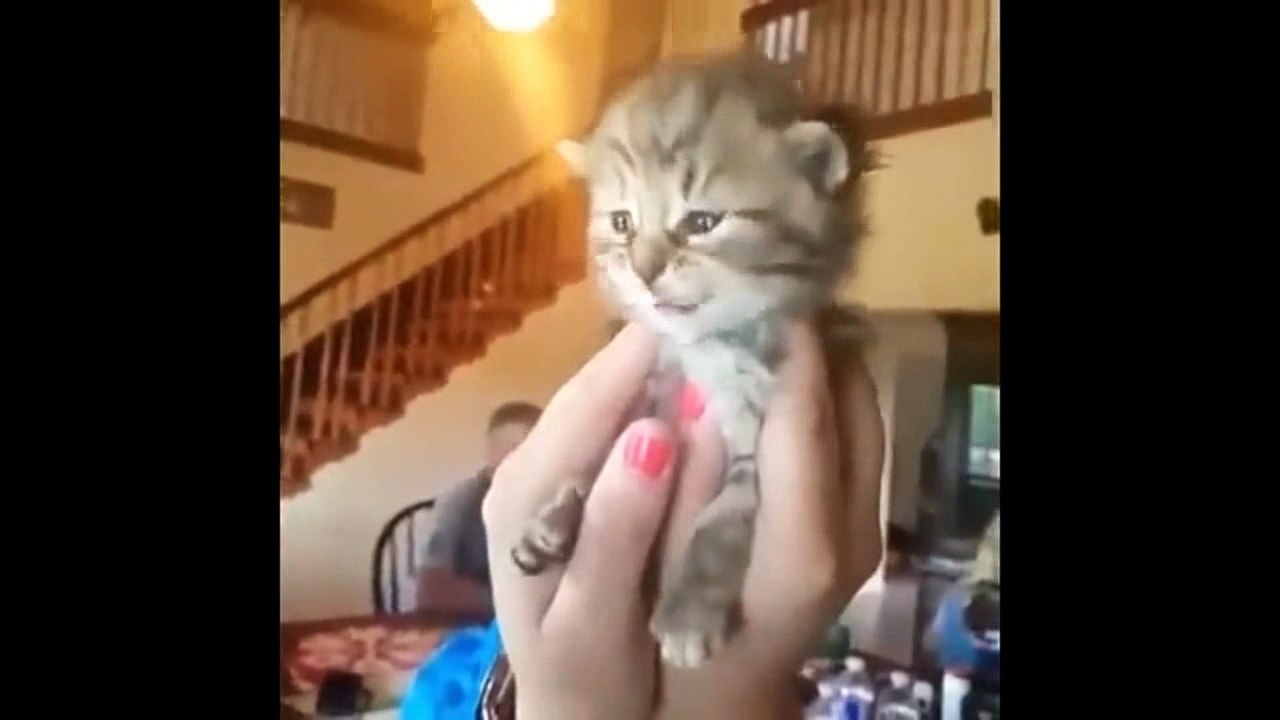 7127 Samstag Andrea Skorpions