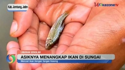 Serunya Melihat Aktivitas Anak-Anak Menangkap Ikan di Sungai