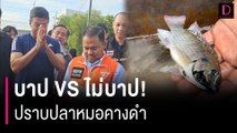 บาป VS ไม่บาป! ปราบปลาหมอคางดำ