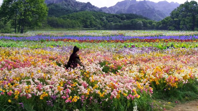 The world of fantasy ep 30 in hindi dubbed Chinese historical drama