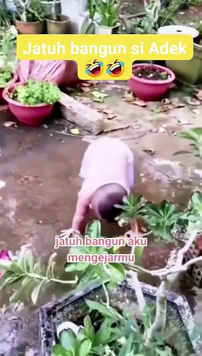 Funny video