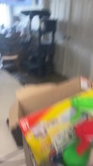 Raccoon Tries to Clean Sink