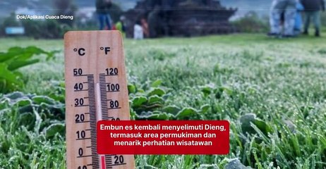 Fenomena Embun Es Kembali Menyelimuti Dieng, Bahkan Sampai Menjangkau Rumah Warga!