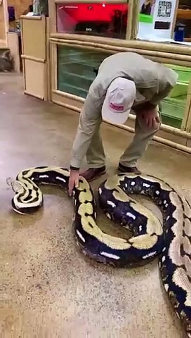 Funny video funny funny