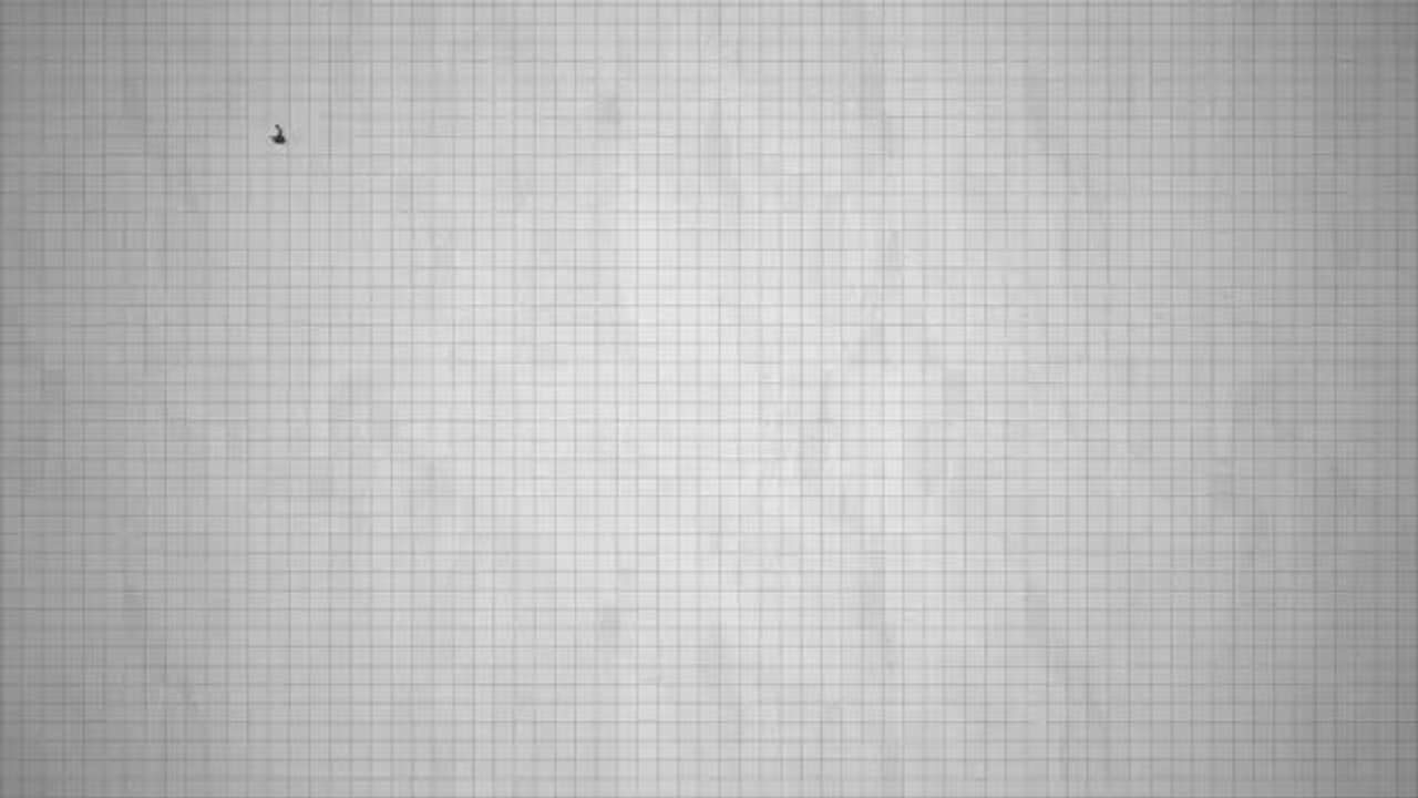 Beast earning video